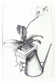Sketch SI850481.JPG